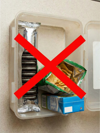 Lancheira Saudável e Colorida